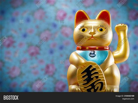 Japanese Lucky Cat Image And Photo Free Trial Bigstock