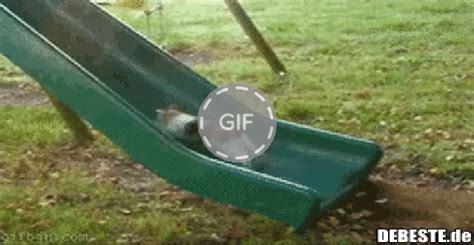 Lustige, witzige, coole sprüche & videos: Auf meiner Karriereleiter Will ich ganz nach oben kommen ...