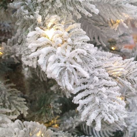 7ft Snowy Grandis Fir Pre Lit Kaemingk Everlands Artificial Christmas