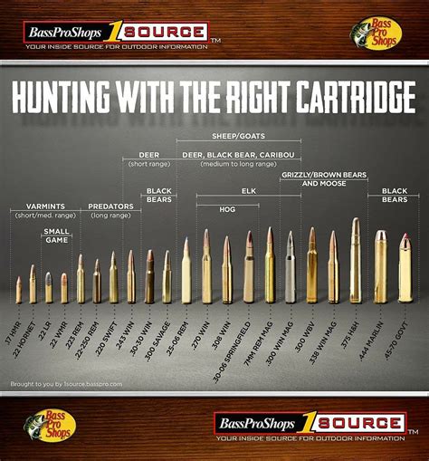 Rifle Bullet Size Chart Comparison Dona