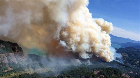 Bc Fires Harrison Lake Wildfire Grows To 100 Hectares In Size Cbc News