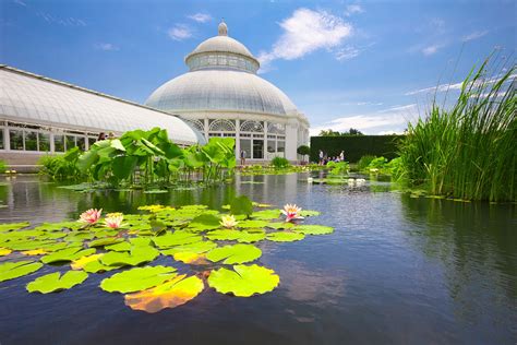 Visiter Le Jardin Botanique De New York Billets Tarifs Horaires