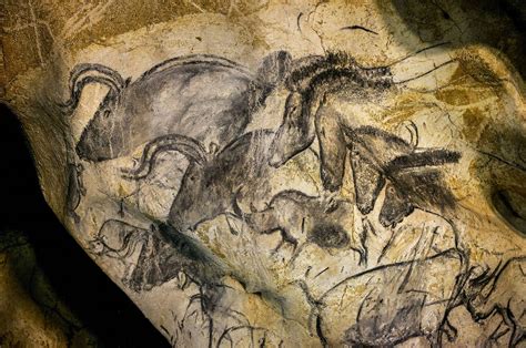 La Cueva De Chauvet Entra En El Patrimonio Mundial De La Unesco El Financiero