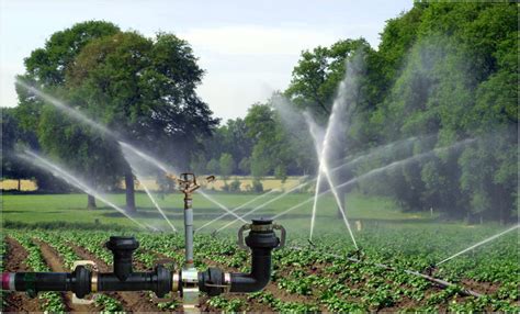 How Much Water Does A Residential Irrigation System Use