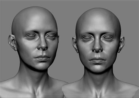 Realistic White Female Head Anatomy 3d Model Cgtrader