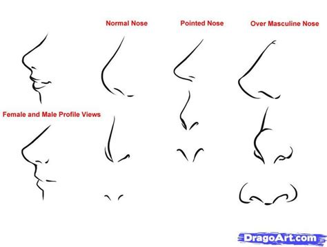 Pin By Eilidh Macdonald On Drawing Anime Nose Nose Drawing Anime