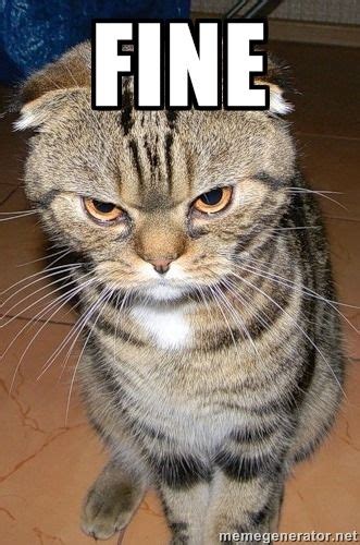 Fine Angry Cat 2 Meme Generator Cat Memes Angry Cat