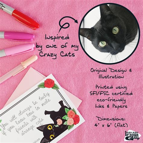 Funny Black Cat Love Quote Postcards Set Of 4 Cards Etsy