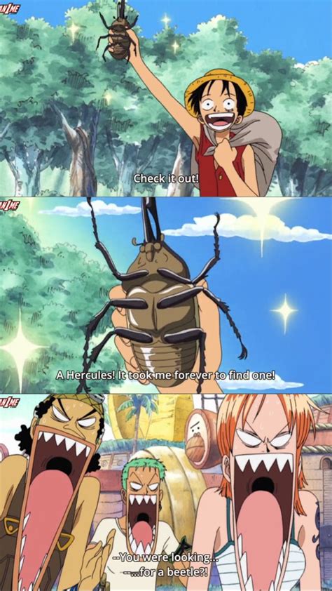 One Piece Funny Moments One Piece Meme One Piece Fanart One Piece