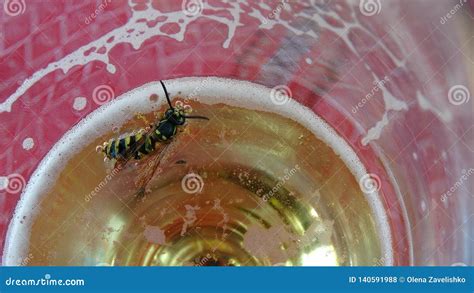 wasps that melt in the beer into which they fell danger of swallowing the wasp in the