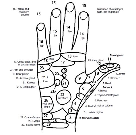 Hand Reflexology And Mudras Learn Self Healing Techniques Online