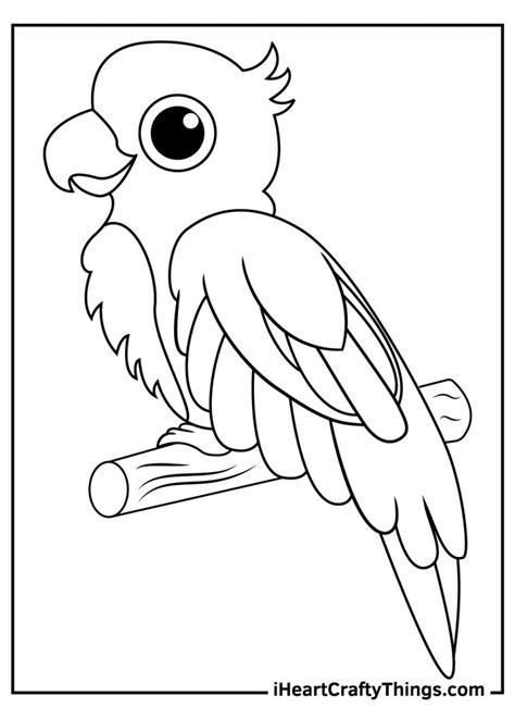 Printable Parrots Coloring Pages Updated 2022