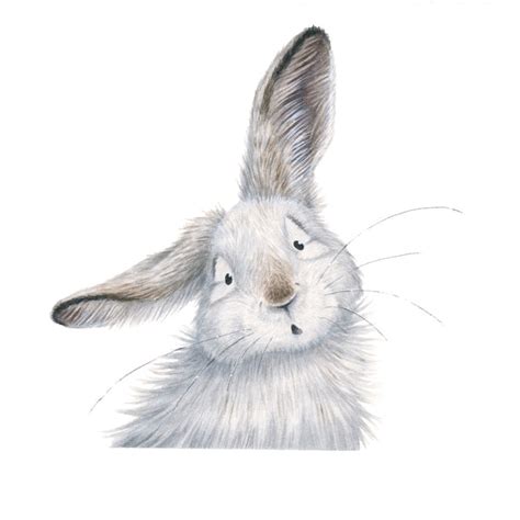 42 Mammals Hares Snowshoe Hare Coloring Pages Gitadlia