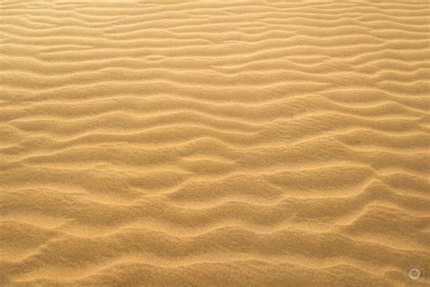 Beach Sand Texture Png Download And Use 50000 Sand Texture Stock