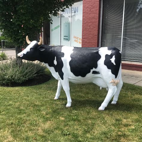 fiberglass holstein cow statue for sale seventreesculpture