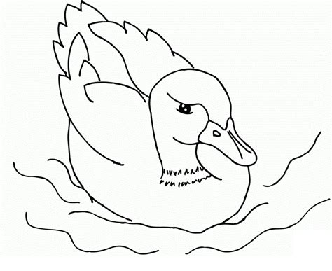 5 out of 5 stars. Duck Coloring Pages - Best Coloring Pages For Kids