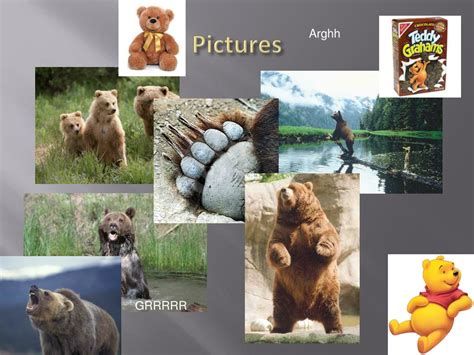 ppt grizzly bear powerpoint presentation free download id 5396143