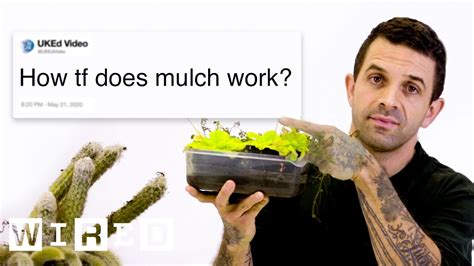 Botanist Answers Plant Questions From Twitter Tech Support Wired สรุปเนื้อหาที่อัปเดตใหม่