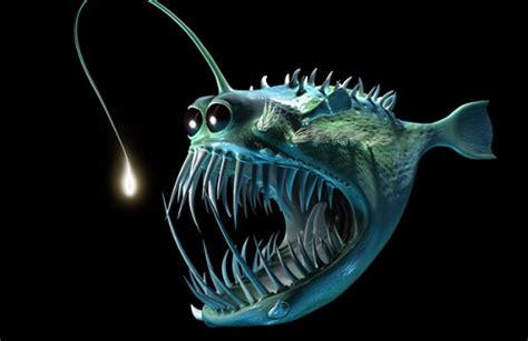 Female Angler Fish