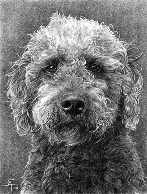 Check out inspiring examples of realisticdrawing artwork on deviantart, and get inspired by our community of talented artists. 50+ Easy Pencil Drawings of Animals That Look So Realistic