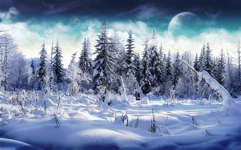 Winter Moon Trees Snow Mountain Nature Wallpapers Hd