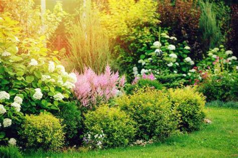 6 Easy Ideas For Landscaping Property Lines Kellogg Garden Organics™