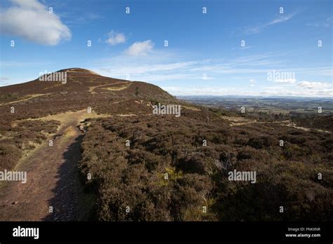 Scottish Borders Scotland Picturesque View Of Eildon Hill North