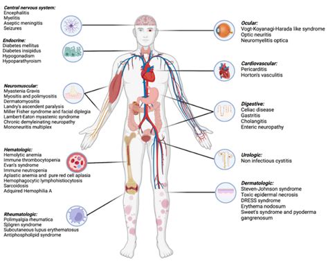 Diagnostics Free Full Text Immune Related Uncommon Adverse Events