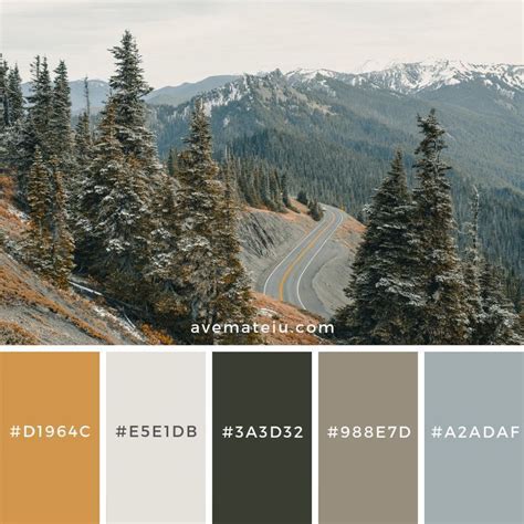 Gray Asphalt Road On Cliff Color Palette 158 Nature Color Palette
