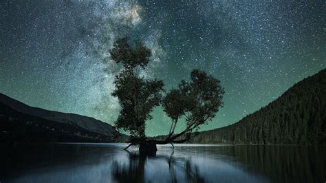 Download Wallpaper 1920x1080 Starry Sky Tree Lake Night Full Hd Hdtv Fhd 1080p Hd Background