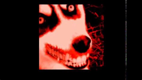 Smile Dog Creepypasta Loquendo Youtube