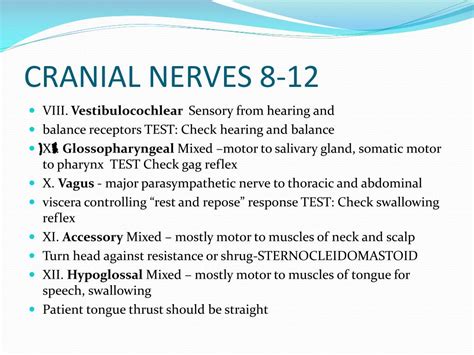 Cranial Nerve 8 Function