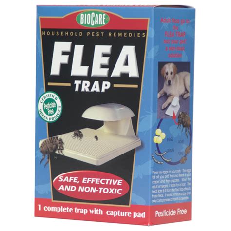 Best Flea Traps Fleascience