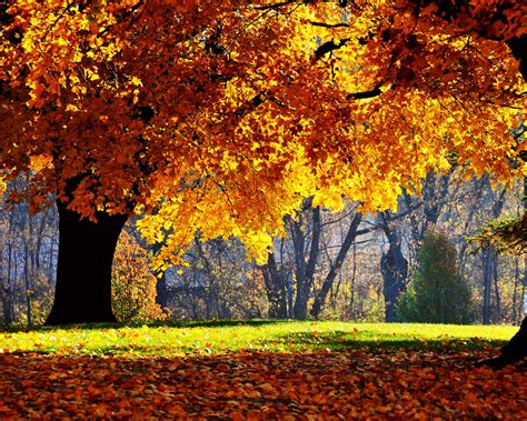 Free Download 1280x1024 Autumn Falls Desktop Pc And Mac Wallpaper