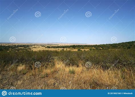 Landscape View Of Greenfields On A Clear Sky Background Stock Photo