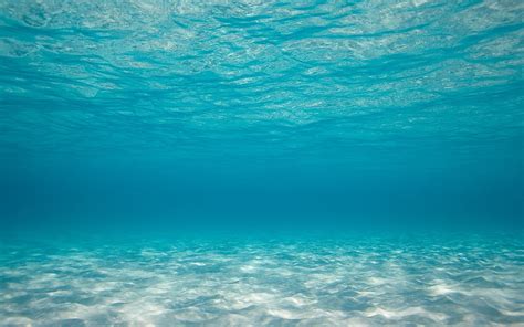 Free Download Hd Wallpaper Blue Body Of Water Sea Underwater