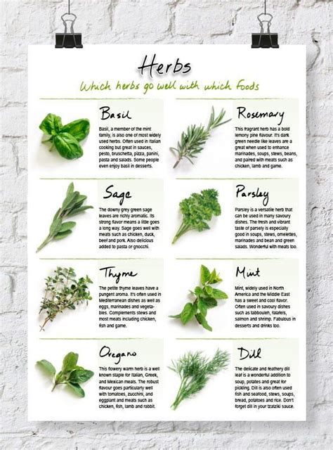 Handy Printable Herb Chart Cooking Herbs Homemade Cookbook Recipe