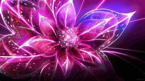 Cool Flower Wallpapers Wallpaper Cave