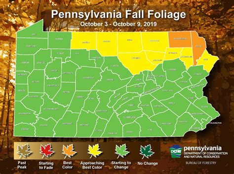 Did The Unseasonable Heat Kill Our Fall Foliage Chances For 2019 In