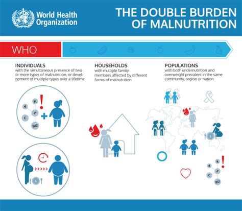 malnutrition and obesity interrelationship causes effects and initiatives hubpages