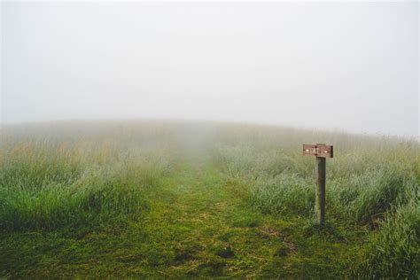 Free Images Landscape Tree Nature Forest Path Outdoor Horizon