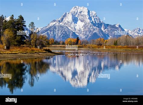 Oxbow Bend At Grand Teton National Park During The Colorful Fall Season