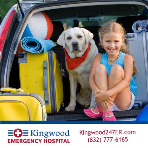 Think your pet is experiencing an emergency requiring immediate attention? The summer holidays can be a fun time to enjoy family and ...