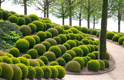 Topiary The Advantages Of Using Artificial Topiary Trees