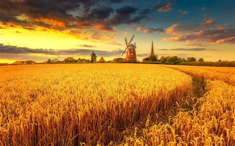 3840x2400 Windmill On Wheat Field At Sunset 4k 3840x2400 Resolution