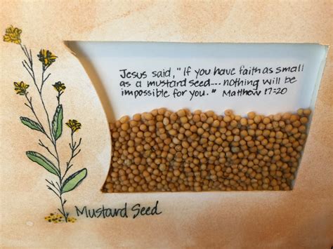 Augustduce Faith As Small As A Mustard Seed