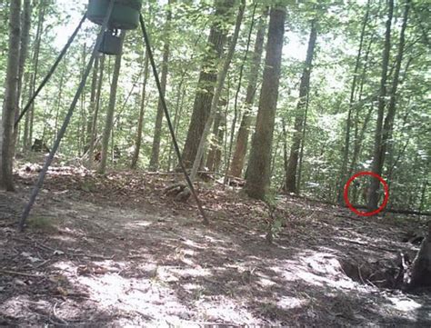 New Bigfoot Images From Eastern Kentucky
