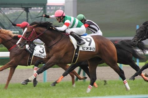 Jun 18, 2021 · マーメイドステークス2021予想 データが導く結論！ 6月18日(金)更新. 【エルムステークス2017】出走予定馬｜予想｜予想オッズ4.1倍 ...