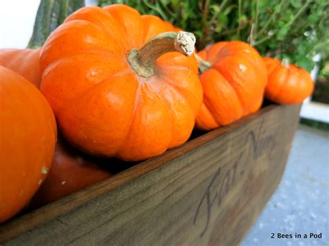Front porch fall decor
