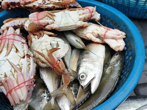 Fresh Fish And Other Seafood Are On Sale In Wet Markets Editorial